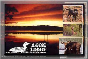 loon-lodge
