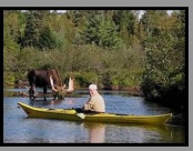 Nahmakanta Wilderness Camps from Bangor International